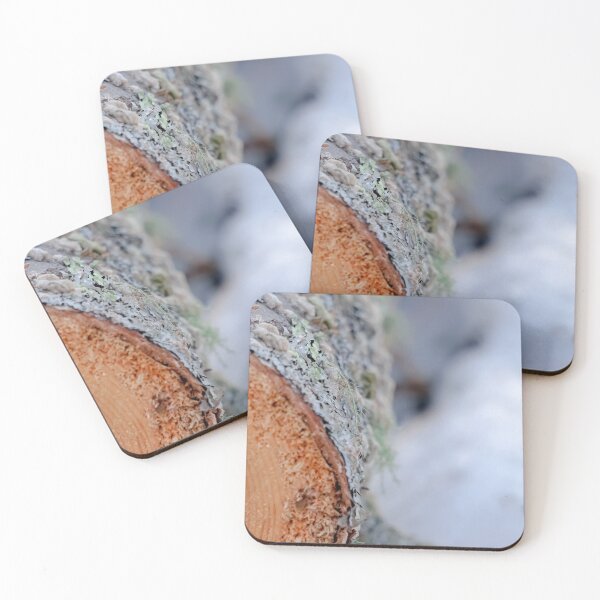 Item preview, split tree designed and sold by Natalie Stark.