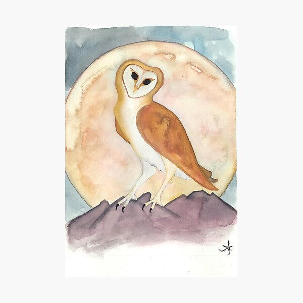 Owl in the Moonlight Photographic Print