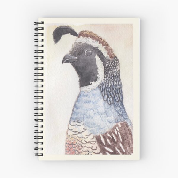 Item preview, California Quail Watercolour designed and sold by SquibbleDesign.