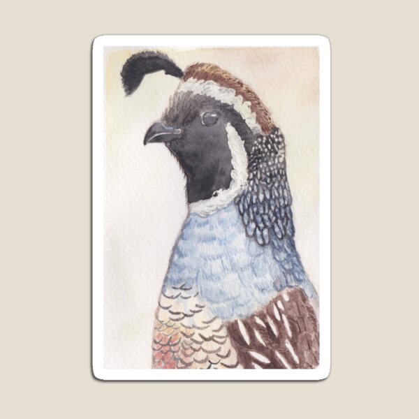 Item preview, California Quail Watercolour designed and sold by SquibbleDesign.