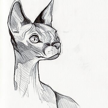 Artwork thumbnail, Sphynx Cat by e-pona