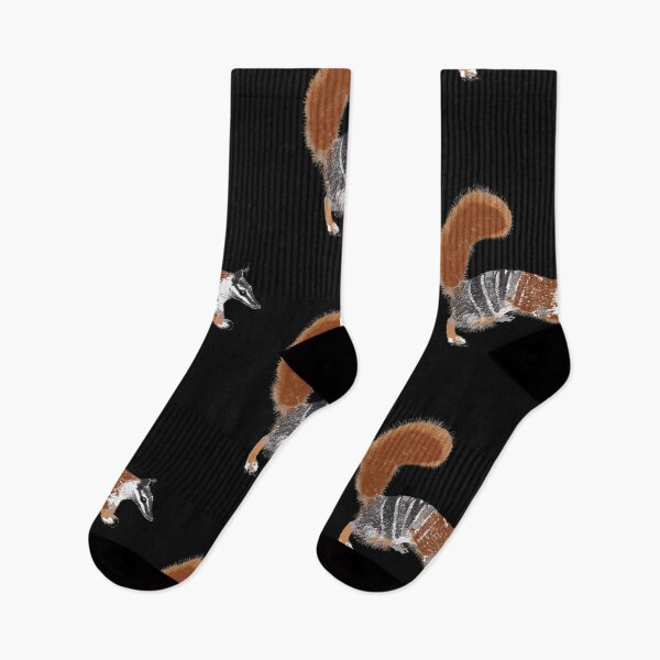 Item preview, Numbat (Myrmecobius fasciatus) by Chrissy Wild designed and sold by ChrissyWild.