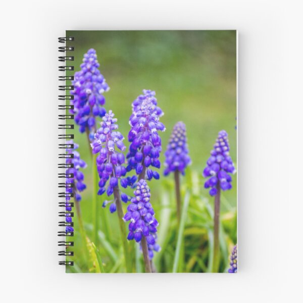 Item preview, purple plant designed and sold by thehazelifted.