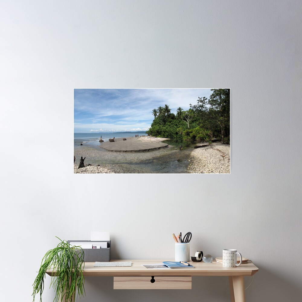 Creek mouth at Waterfall Bay Poster
