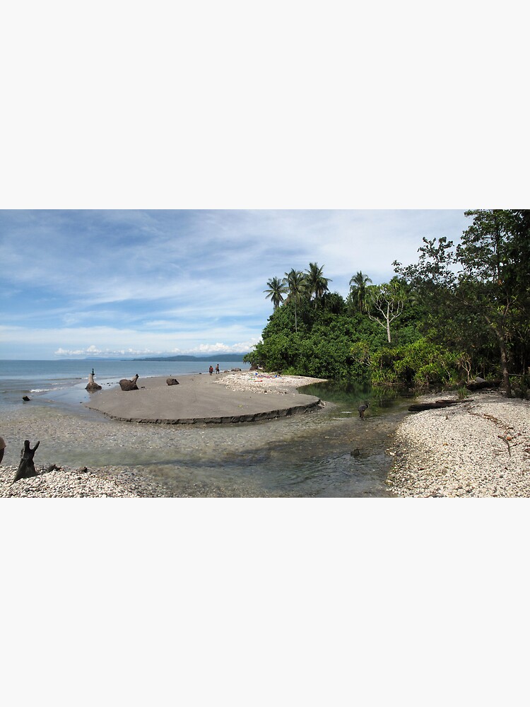Creek mouth at Waterfall Bay by neoniphon