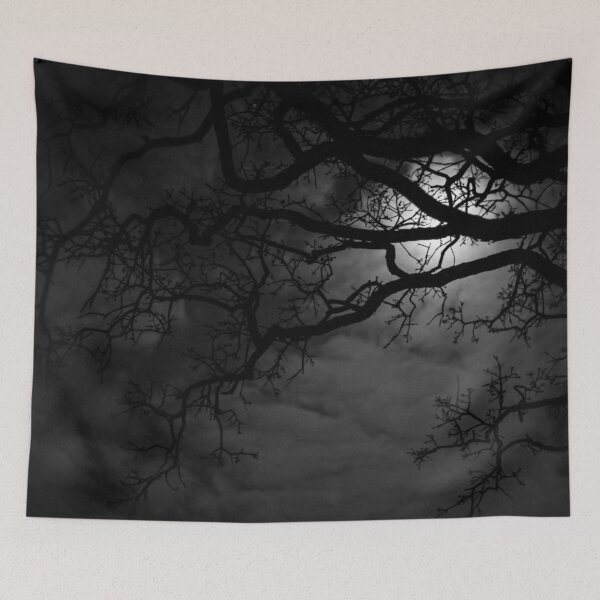 Aperçu de l'œuvre D Lawson Photography - La lune et les chênes créée et vendue par Danielle Lawson.