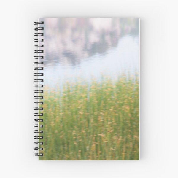 Item preview, Little Bird at Gull Lake (Eastern Sierras, CA) designed and sold by Emi Nakamura.