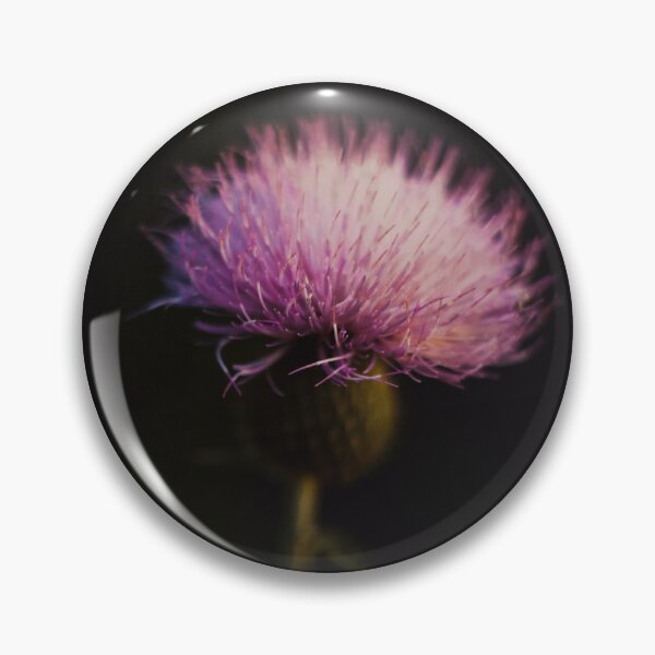 Item preview, D Lawson Photography - Thistle designed and sold by Danielle Lawson.