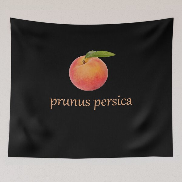 Item preview, Peach Scientific Name designed and sold by zeqira.