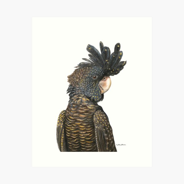 Item preview, Black Cockatoo - by Nadya Neklioudova designed and sold by Nadya Neklioudova.