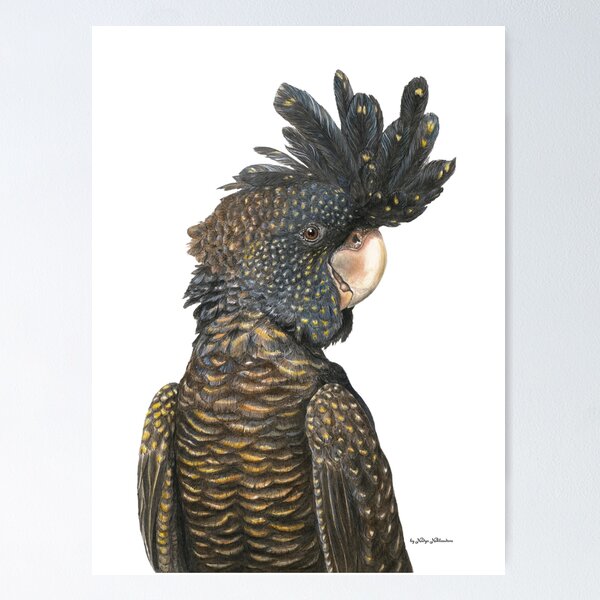 Item preview, Black Cockatoo - by Nadya Neklioudova designed and sold by Nadya Neklioudova.
