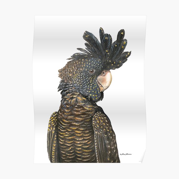 Black Cockatoo - by Nadya Neklioudova Poster