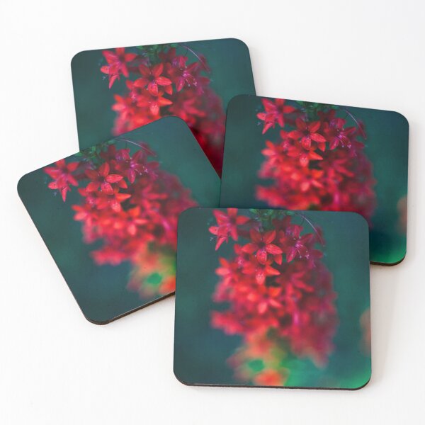Item preview, D Lawson Photography - Texas Plume designed and sold by Danielle Lawson.