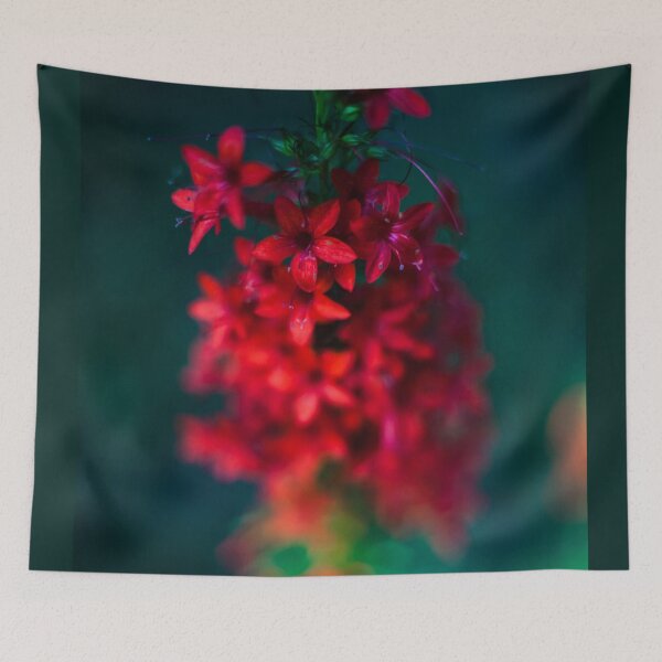 Item preview, D Lawson Photography - Texas Plume designed and sold by Danielle Lawson.