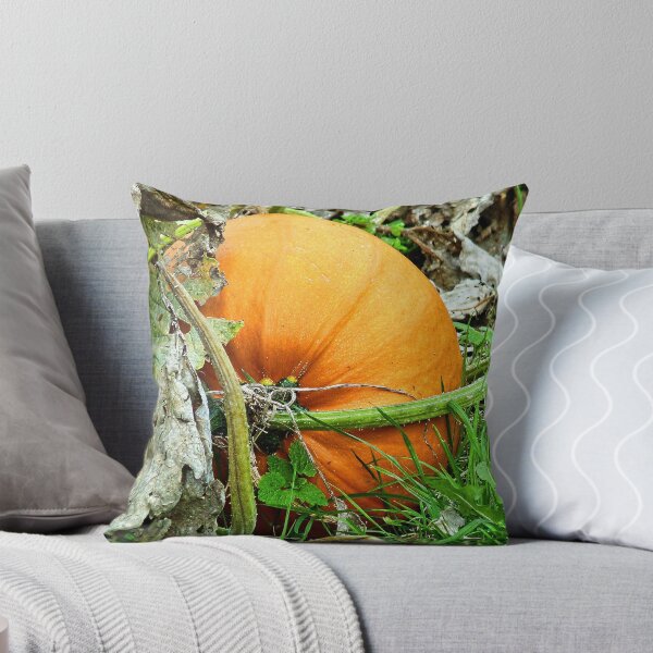 Item preview, Pumpkin time again........ designed and sold by lynn carter.