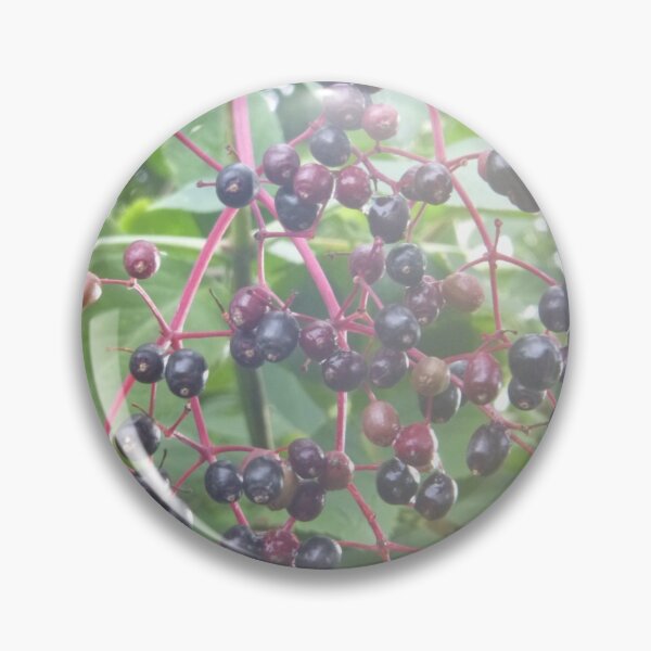 Item preview, Elderberries designed and sold by Moonshine Paradise.