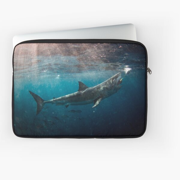 shark laptop case