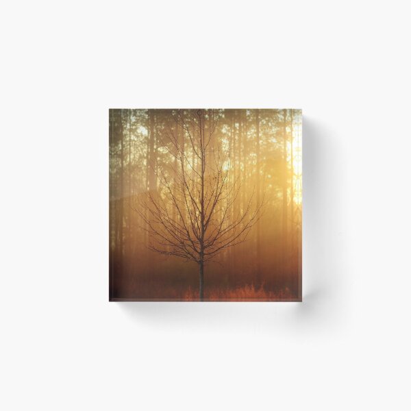 Item preview, Beautiful Bare Tree designed and sold by floofpictures.