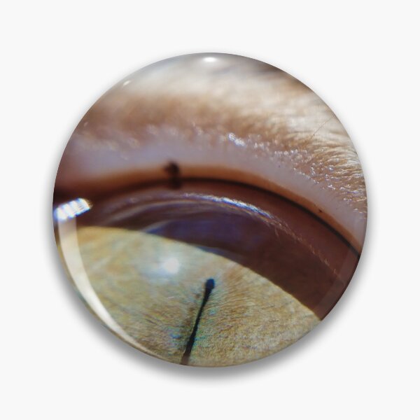Item preview, Cat Eye in Sunlight designed and sold by Akitsu.