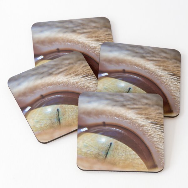 Item preview, Cat Eye in Sunlight designed and sold by Akitsu.