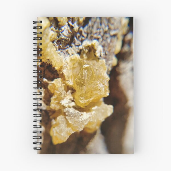 Item preview, Macro Tree Sap designed and sold by Akitsu.