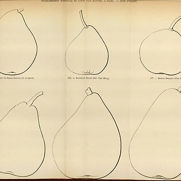 Vorschaubild zum Design Flore des serres et des... von Rodeoclash
