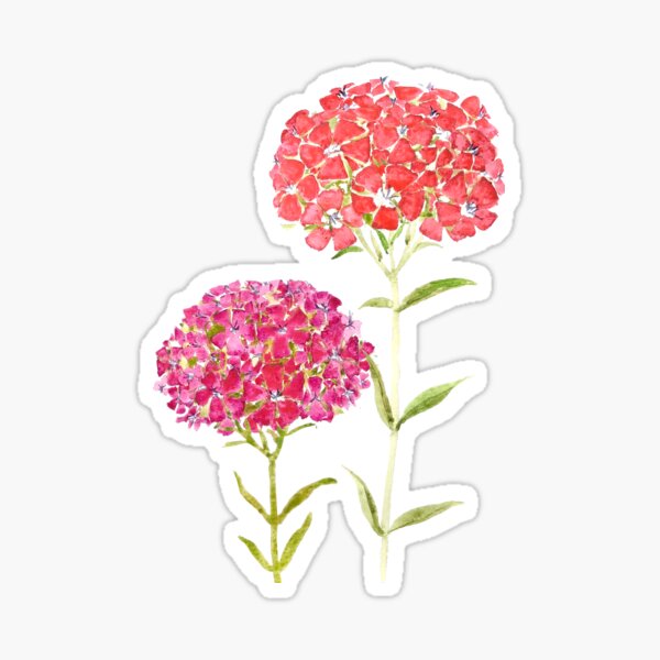 Flower Set Sticker for Sale by Maddie G  Floral stickers, Aesthetic  stickers, Scrapbook stickers printable