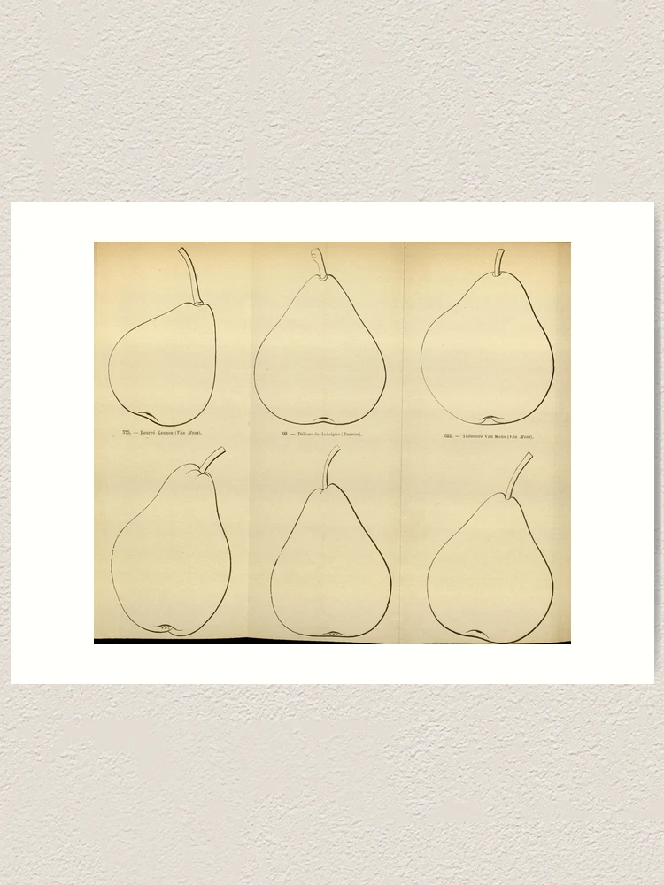 Thumbnail 1 von 3, Kunstdruck, Flore des serres et des... designt und verkauft von Rodeoclash.