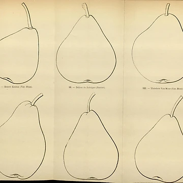 Vorschaubild zum Design Flore des serres et des... von Rodeoclash