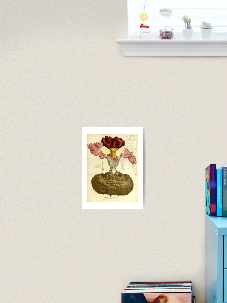 Thumbnail 2 von 3, Kunstdruck, Flore des serres et des... designt und verkauft von Rodeoclash.