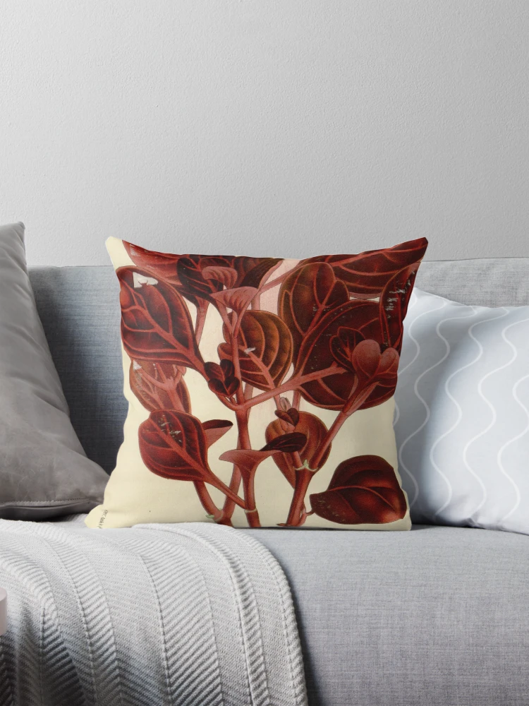 Aperçu 1 sur 4. Coussin avec l'œuvre Flore des serres et des... créée et vendue par Rodeoclash.