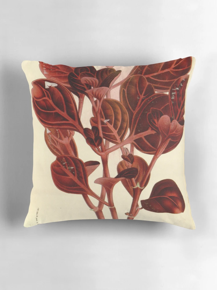 Aperçu 3 sur 4. Coussin avec l'œuvre Flore des serres et des... créée et vendue par Rodeoclash.