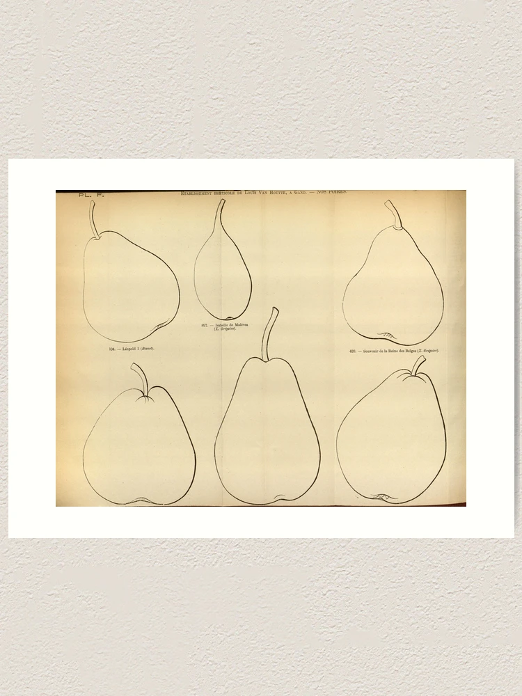 Thumbnail 1 von 3, Kunstdruck, Flore des serres et des... designt und verkauft von Rodeoclash.