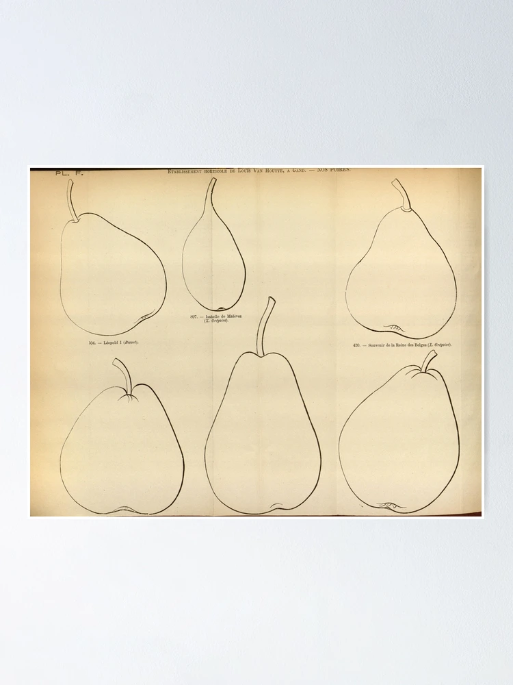 Imagen 1 de 3, Póster con la obra Flore des serres et des..., diseñada y vendida por Rodeoclash.