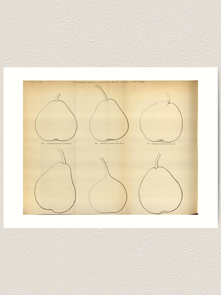 Thumbnail 1 von 3, Kunstdruck, Flore des serres et des... designt und verkauft von Rodeoclash.