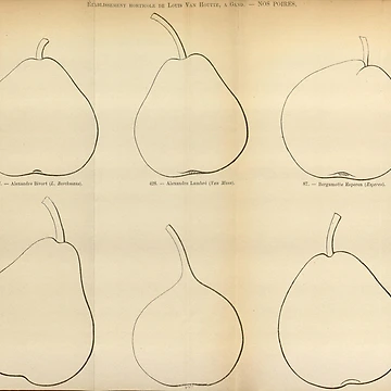 Vorschaubild zum Design Flore des serres et des... von Rodeoclash