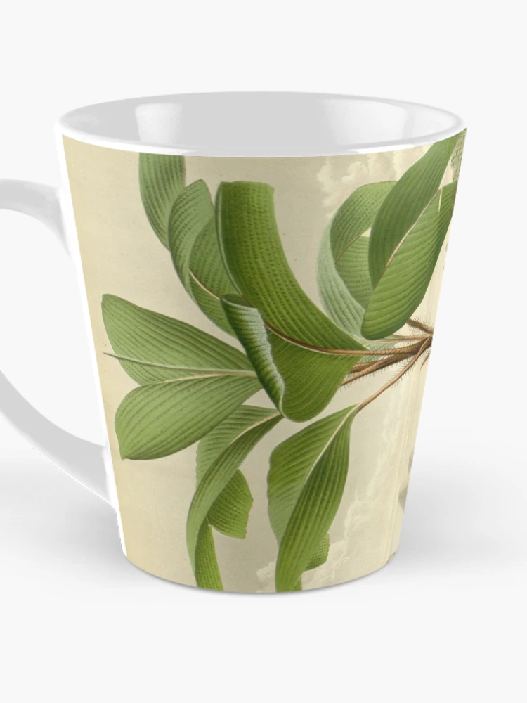 Aperçu 3 sur 4. Mug à café avec l'œuvre Flore des serres et des... créée et vendue par Rodeoclash.