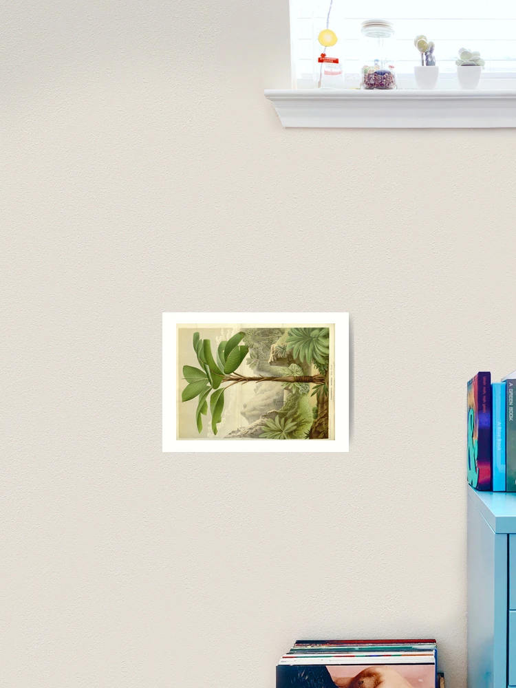 Thumbnail 2 von 3, Kunstdruck, Flore des serres et des... designt und verkauft von Rodeoclash.