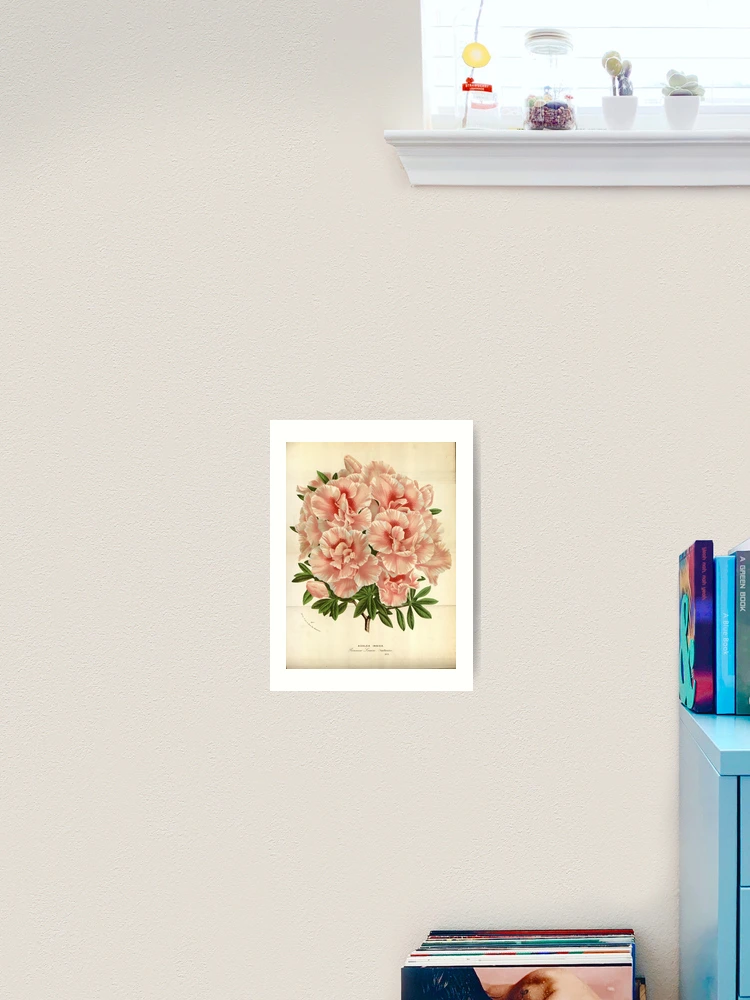 Thumbnail 2 von 3, Kunstdruck, Flore des serres et des... designt und verkauft von Rodeoclash.