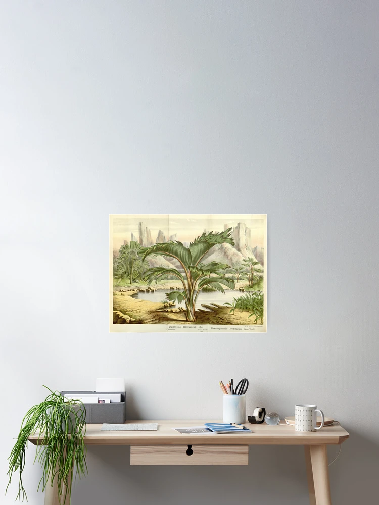 Thumbnail 2 von 3, Poster, Flore des serres et des... designt und verkauft von Rodeoclash.