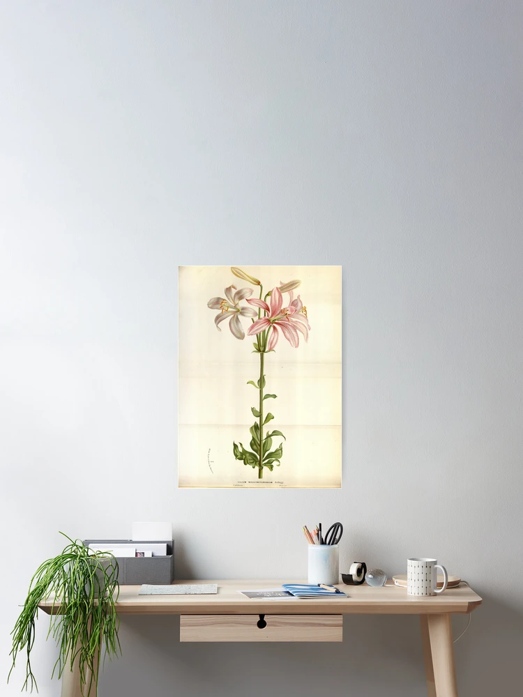 Thumbnail 2 von 3, Poster, Flore des serres et des... designt und verkauft von Rodeoclash.