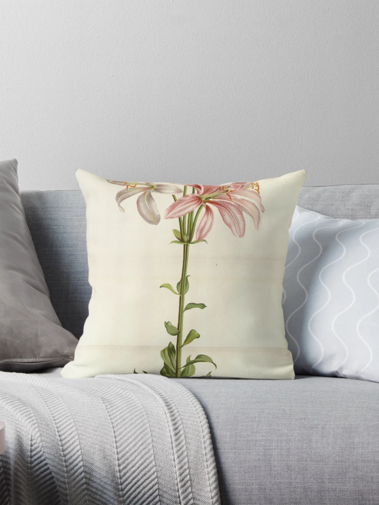 Aperçu 1 sur 4. Coussin avec l'œuvre Flore des serres et des... créée et vendue par Rodeoclash.