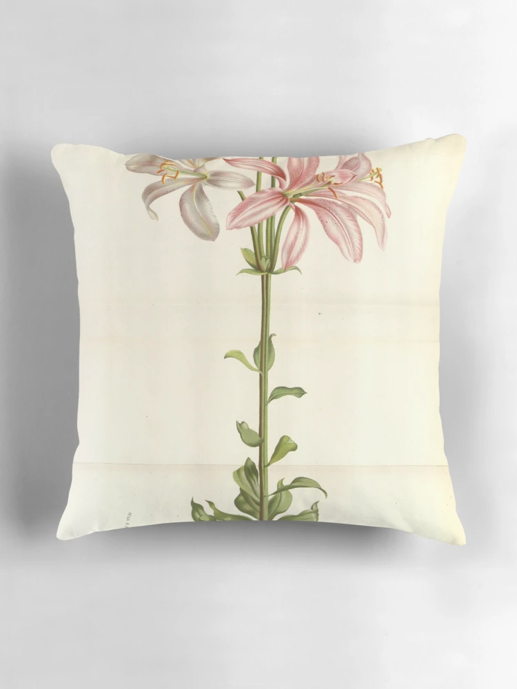 Aperçu 3 sur 4. Coussin avec l'œuvre Flore des serres et des... créée et vendue par Rodeoclash.