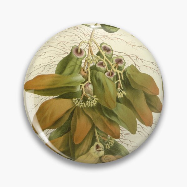 Item preview, Flore des serres et des... designed and sold by Rodeoclash.