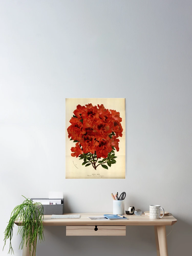 Imagen 2 de 3, Póster con la obra Flore des serres et des..., diseñada y vendida por Rodeoclash.