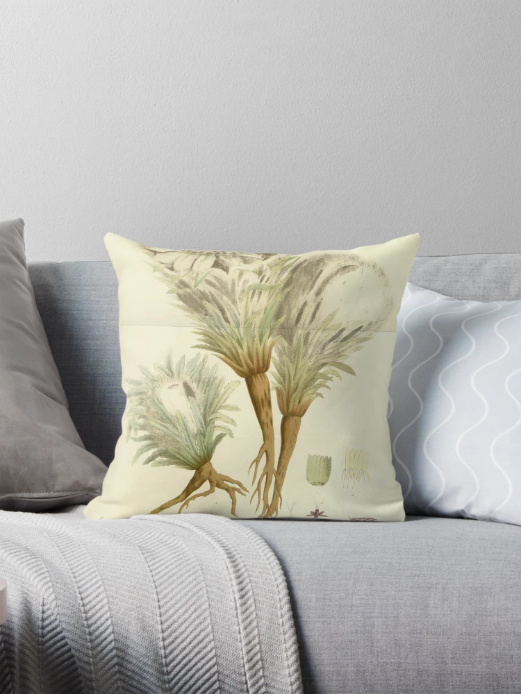 Aperçu 1 sur 4. Coussin avec l'œuvre Flore des serres et des... créée et vendue par Rodeoclash.