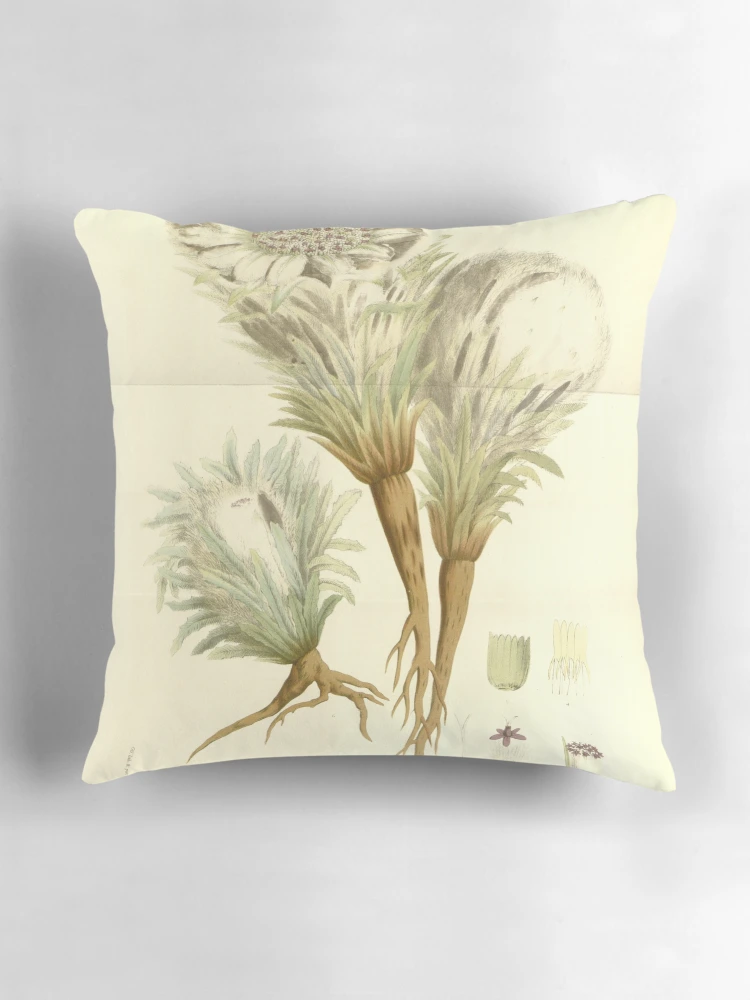 Aperçu 3 sur 4. Coussin avec l'œuvre Flore des serres et des... créée et vendue par Rodeoclash.