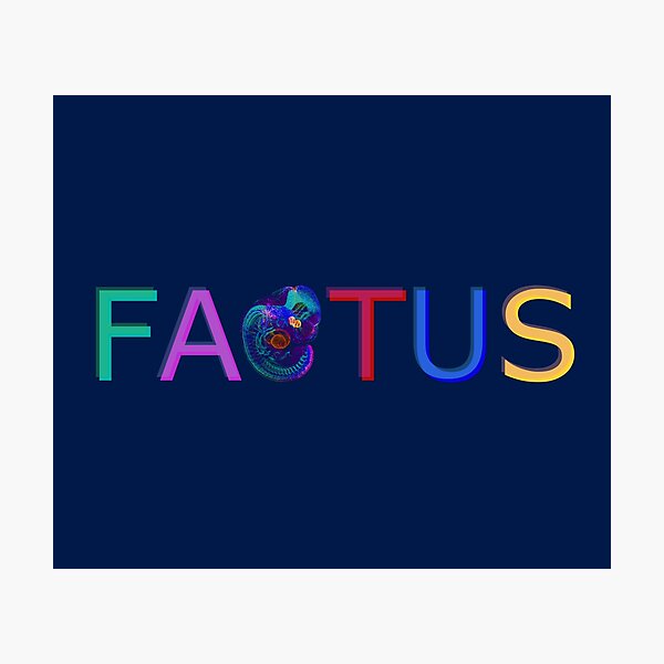 Item preview, FACTUS 0.03 - Progressio designed and sold by Icksaviour.