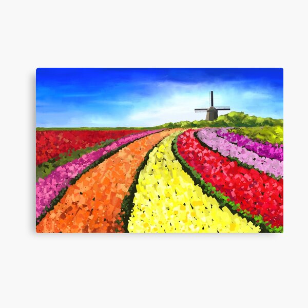 Colorful Dutch Tulipfields with Windmill Canvas Print