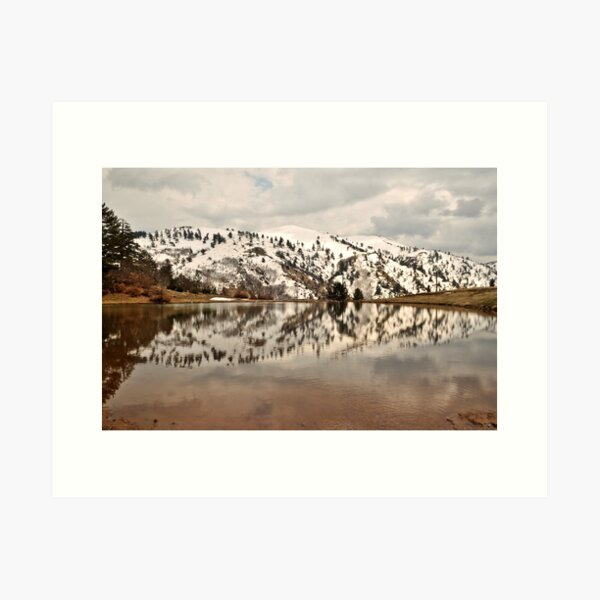 Item preview, Reflections designed and sold by Alex Chartonas.